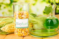 Moriah biofuel availability